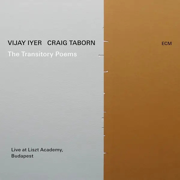 Album artwork for The Transitory Poems by Vijay Iyer