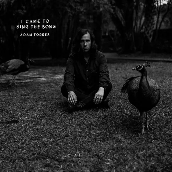 Album artwork for I Came To Sing The Song by Adam Torres