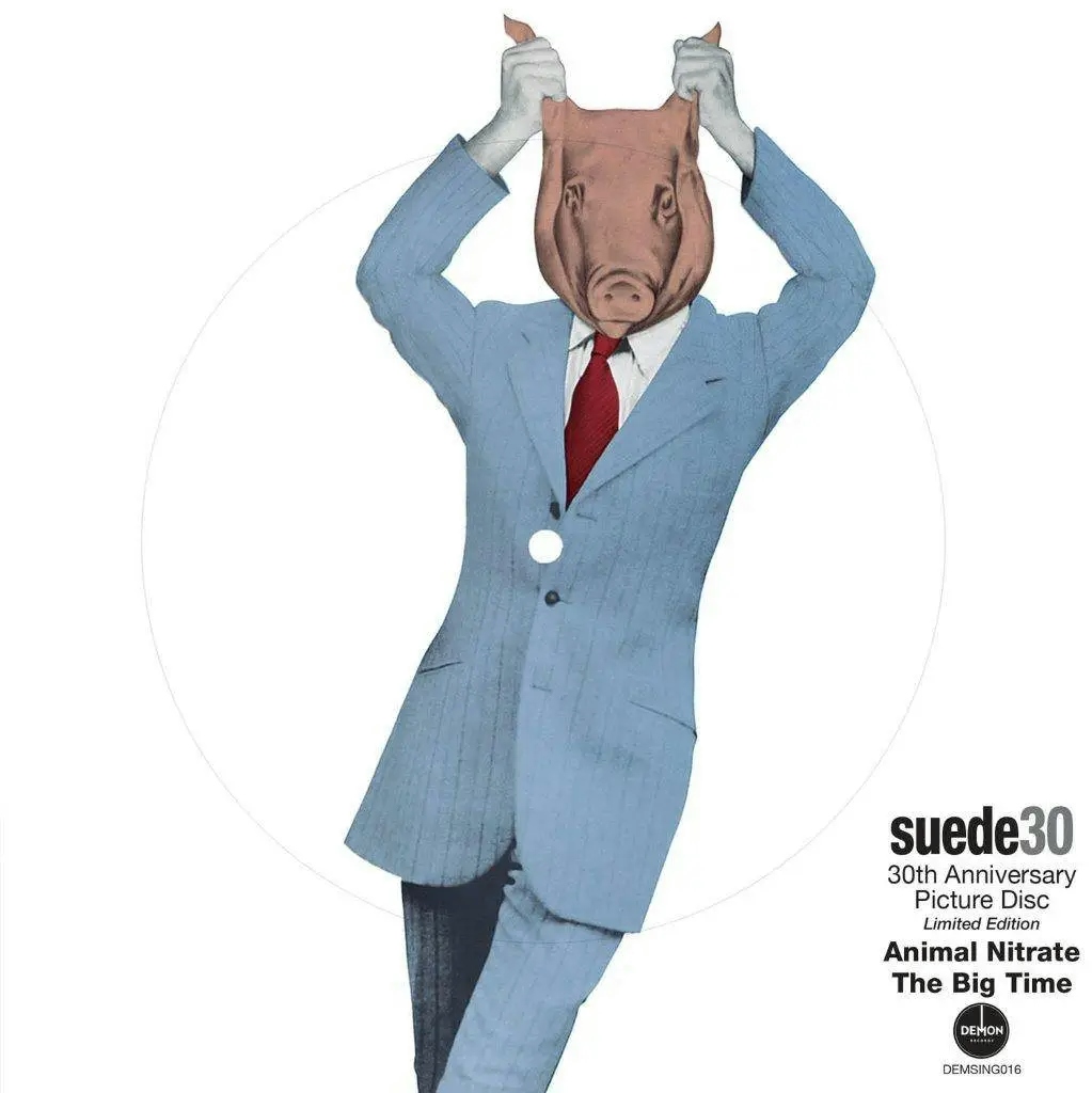 Album artwork for Animal Nitrate by Suede