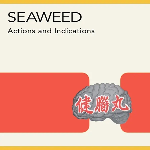 Album artwork for Action And Indications by Seaweed