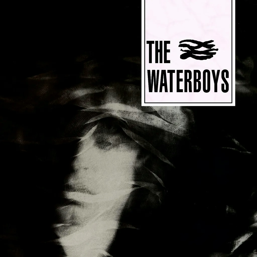 Album artwork for The Waterboys by The Waterboys
