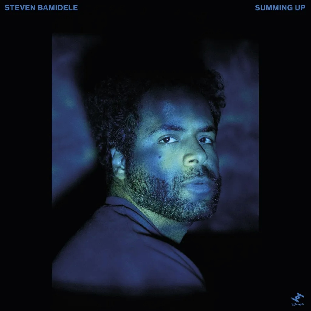 Album artwork for Summing Up by Steven Bamidele