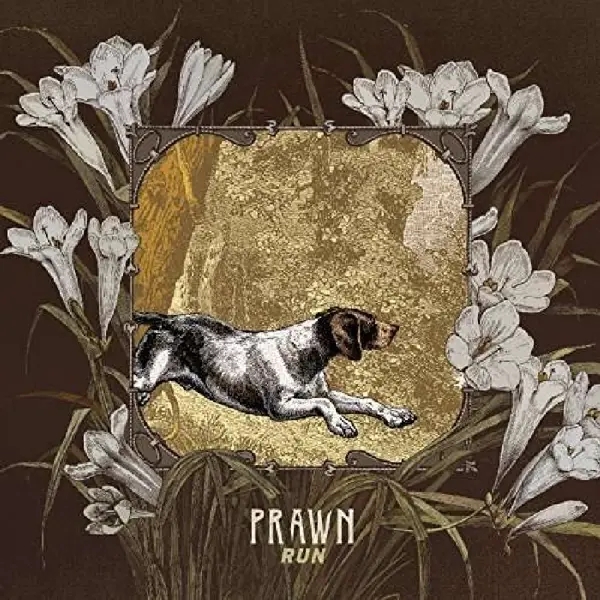 Album artwork for Run by Prawn