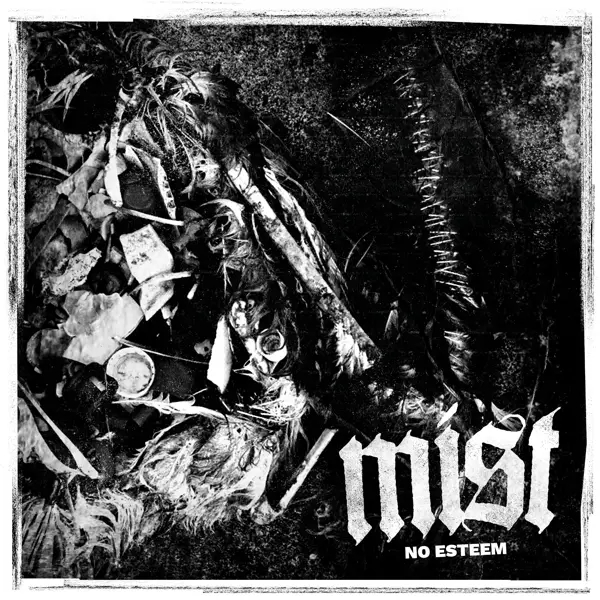 Album artwork for No Esteem by Mist