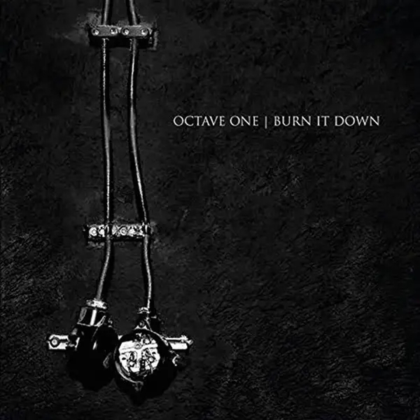 Album artwork for Burn It Down by Octave One