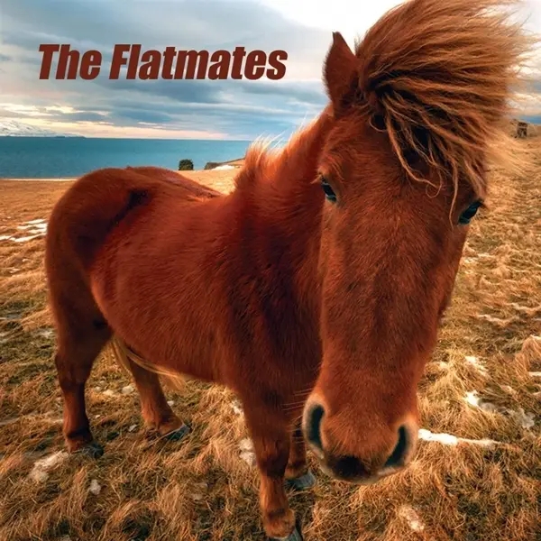 Album artwork for The Flatmates by The Flatmates