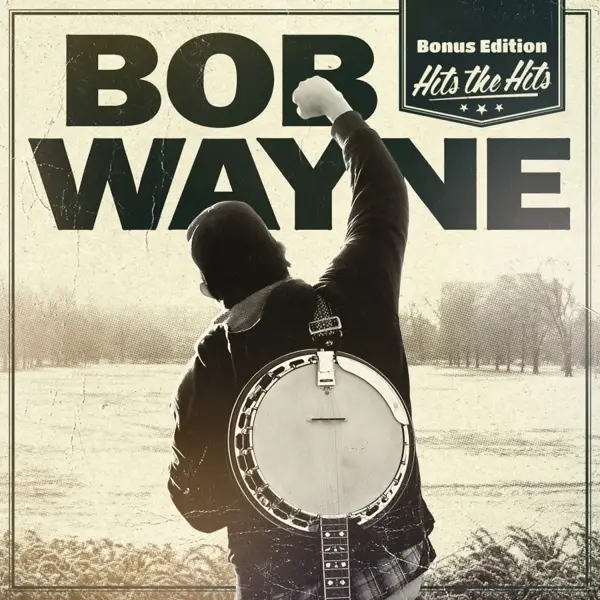 Album artwork for Hits The Hits by Bob Wayne