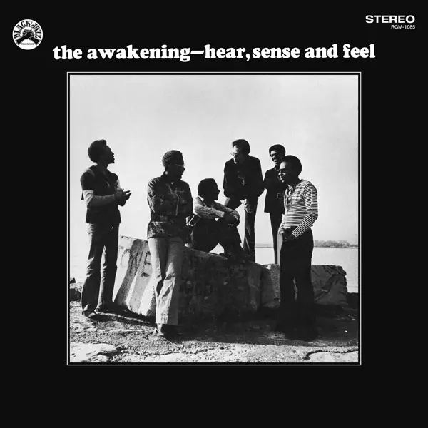 Album artwork for Hear,Sense And Feel by Awakening