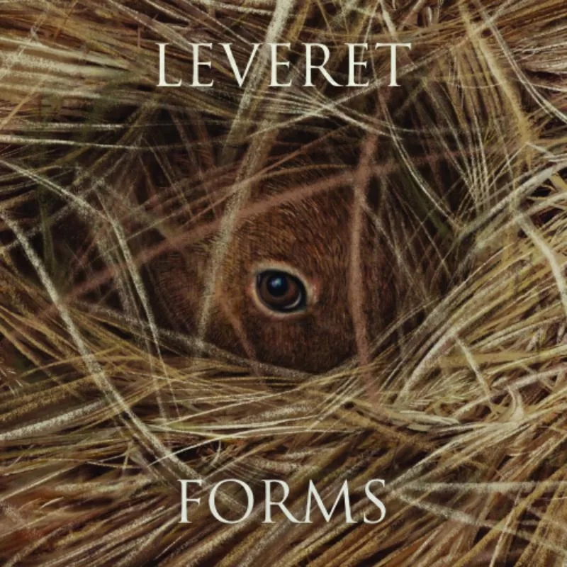 Album artwork for Forms by Leveret
