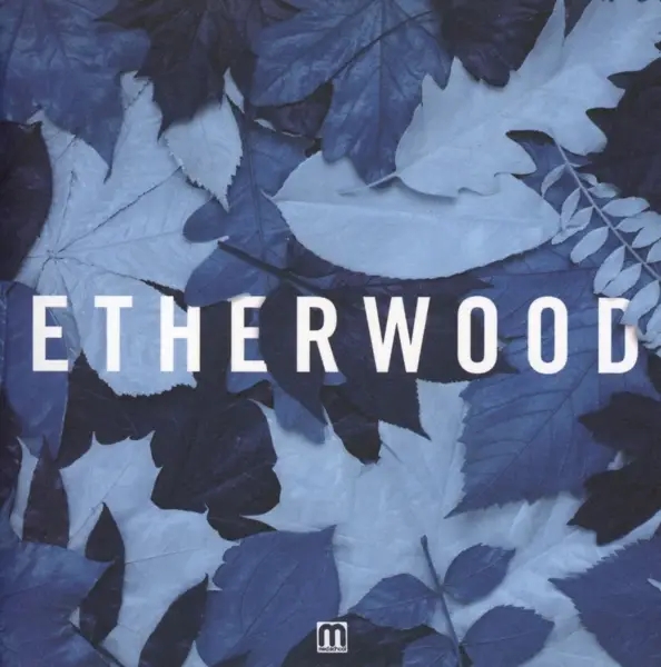 Album artwork for Blue Leaves by Etherwood