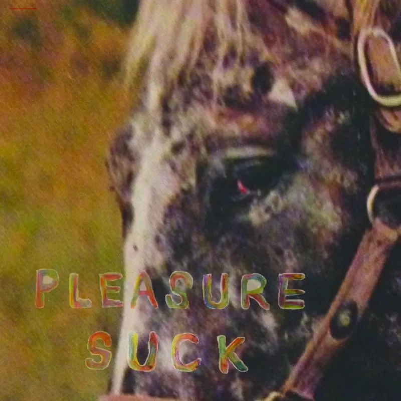 Album artwork for Pleasure Suck by The Spirit Of The Beehive