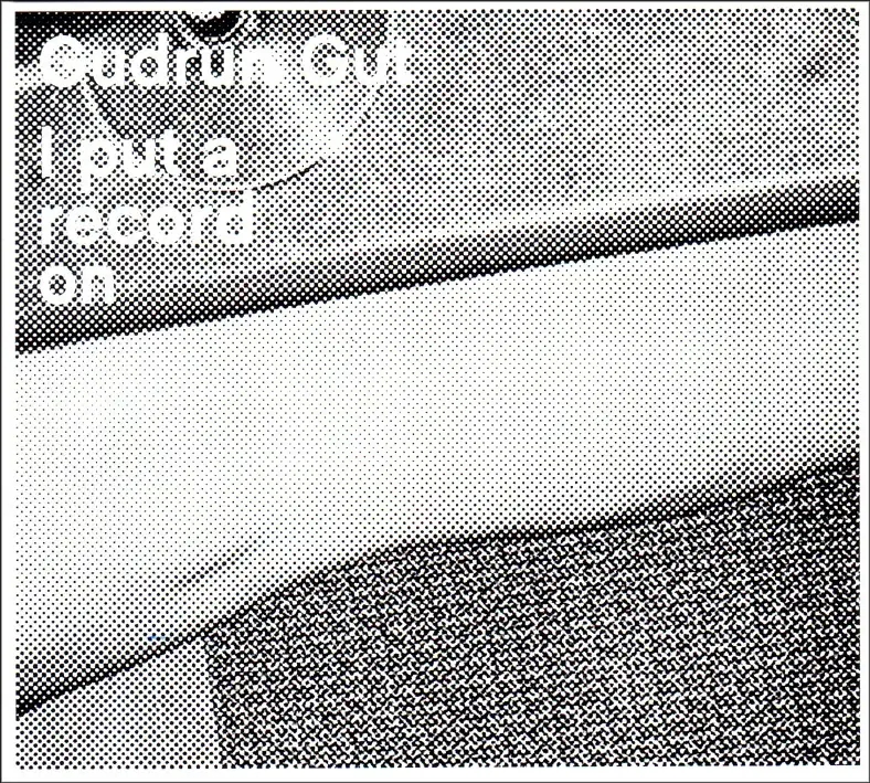 Album artwork for I Put A Record On by Gudrun Gut