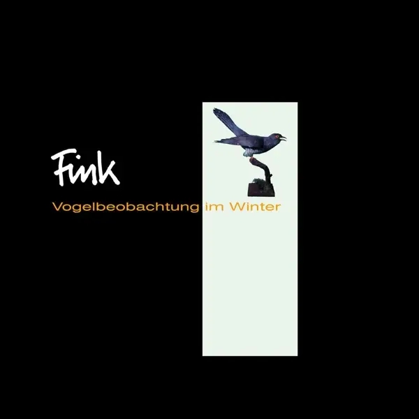 Album artwork for Vogelbeobachtungen im Winter by Fink