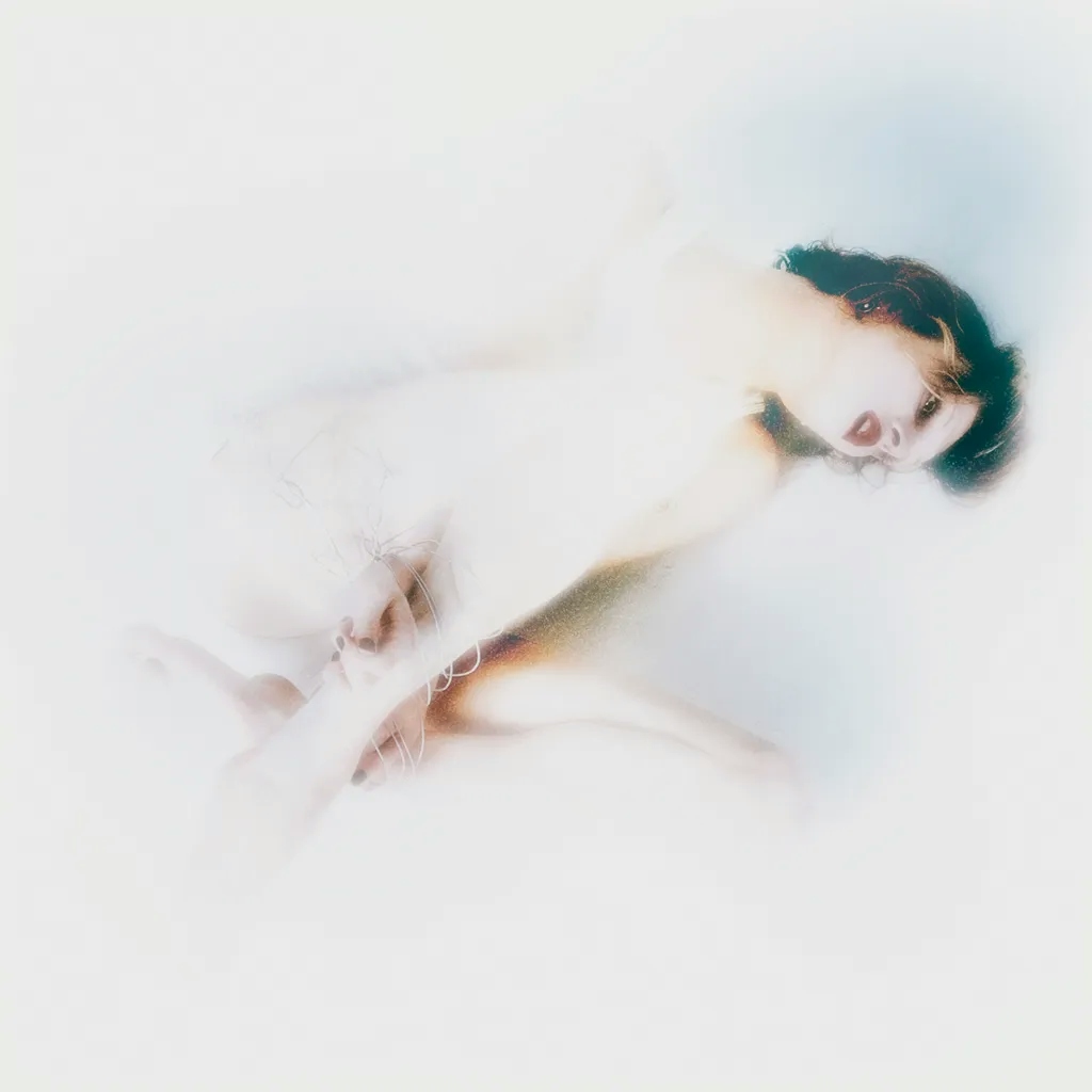 Album artwork for the infinite spine by Lauren Auder