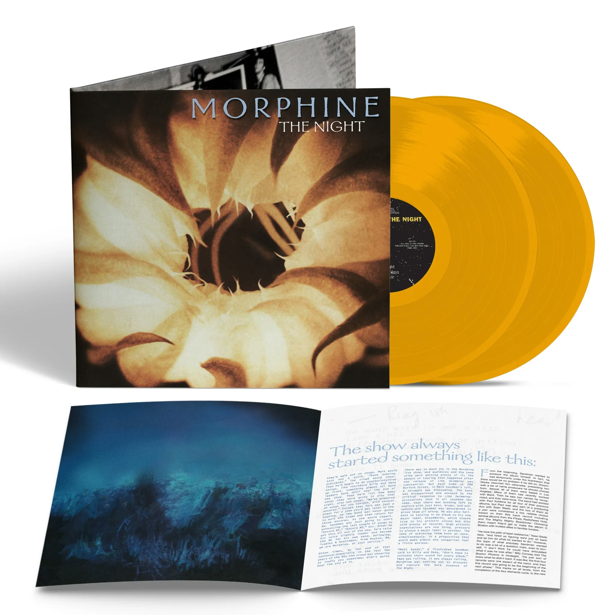 Album artwork for The Night by Morphine