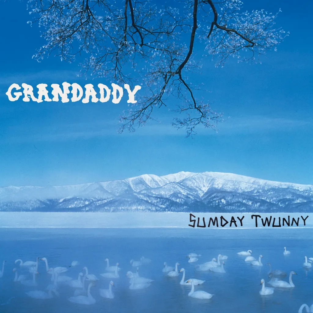 Album artwork for Sumday: Twunny by Grandaddy