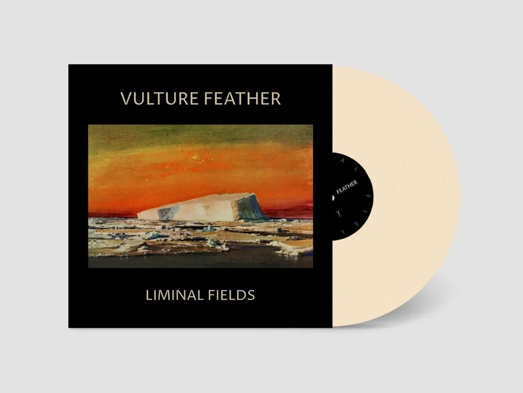 Album artwork for Liminal Fields by Vulture Feather