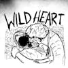 Album artwork for Wild Heart by Current Joys