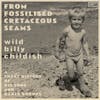 Album artwork for From Fossilised Cretaceous Seams: A Short History of His Song and Dance Groups by Wild Billy Childish