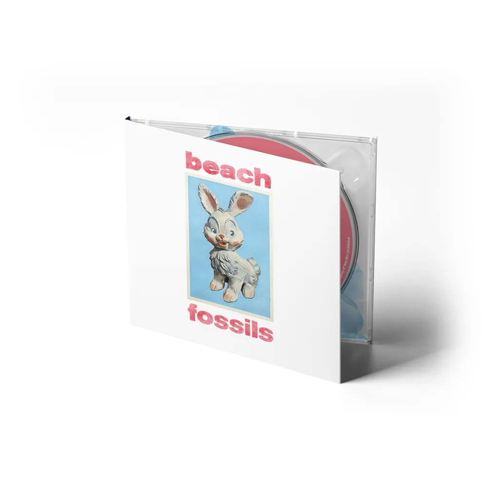 Album artwork for Album artwork for Bunny by Beach Fossils by Bunny - Beach Fossils