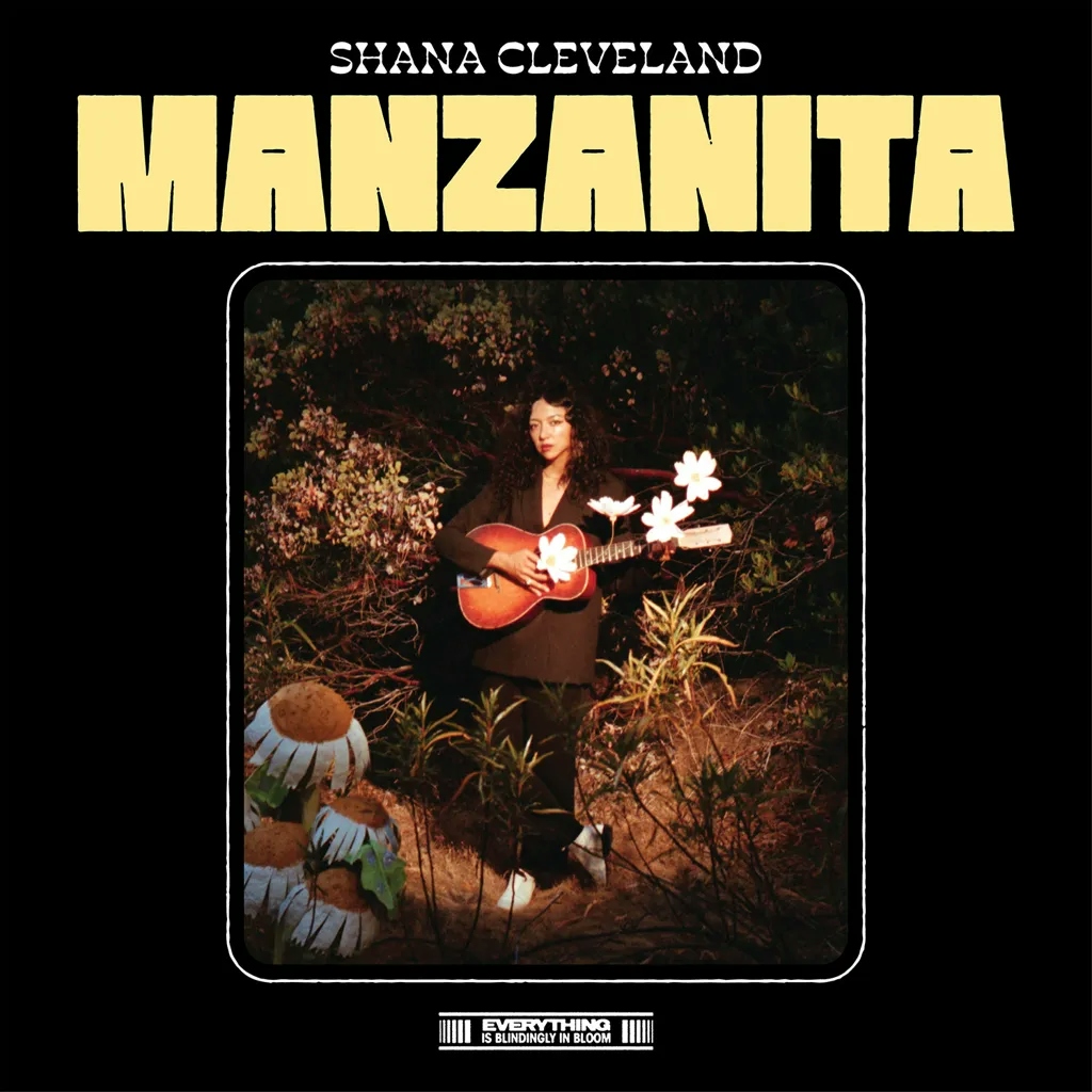 Album artwork for Manzanita by Shana Cleveland