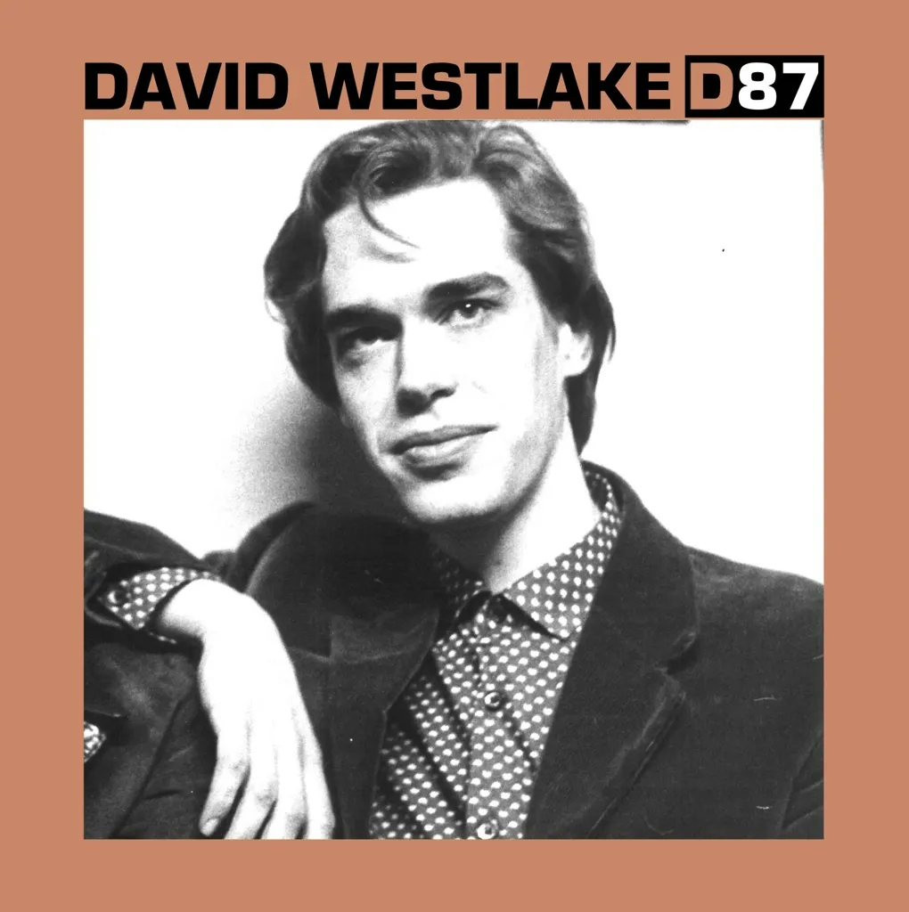 Album artwork for D87 by David Westlake