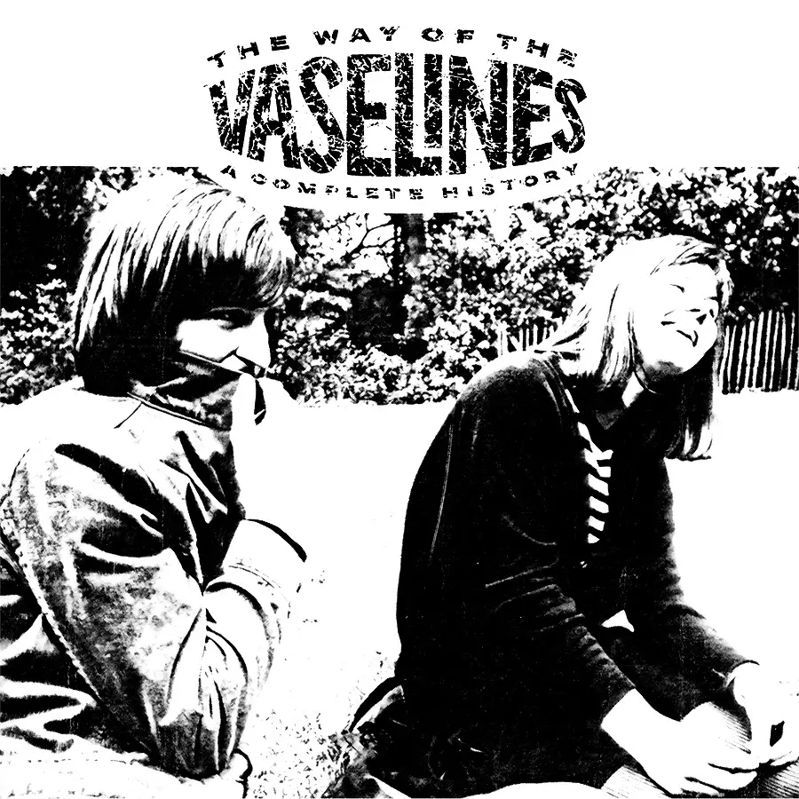 Album artwork for Album artwork for The Way of the Vaselines by The Vaselines by The Way of the Vaselines - The Vaselines