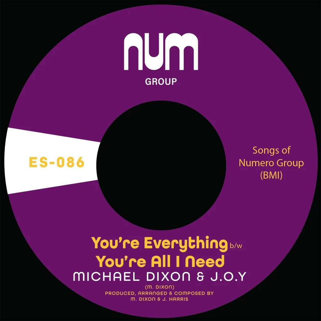Album artwork for You're Everything b/w You're All I Need by Michael A Dixon, J.O.Y.