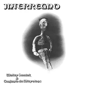 Album artwork for Interregno by Walter Smetak and Conjunto de Microtons