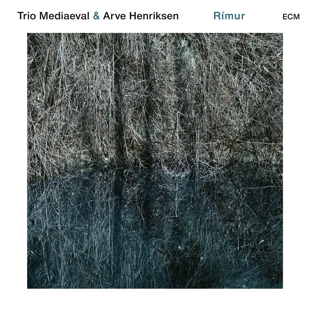 Album artwork for Rimur by Trio Mediaeval and Arve Henriksen 