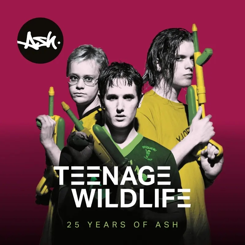 Album artwork for Teenage Wildlife: 25 Years Of Ash by Ash