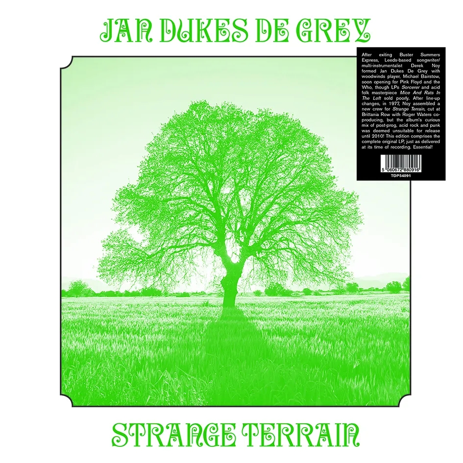 Album artwork for Strange Terrain by Jan Dukes De Gray
