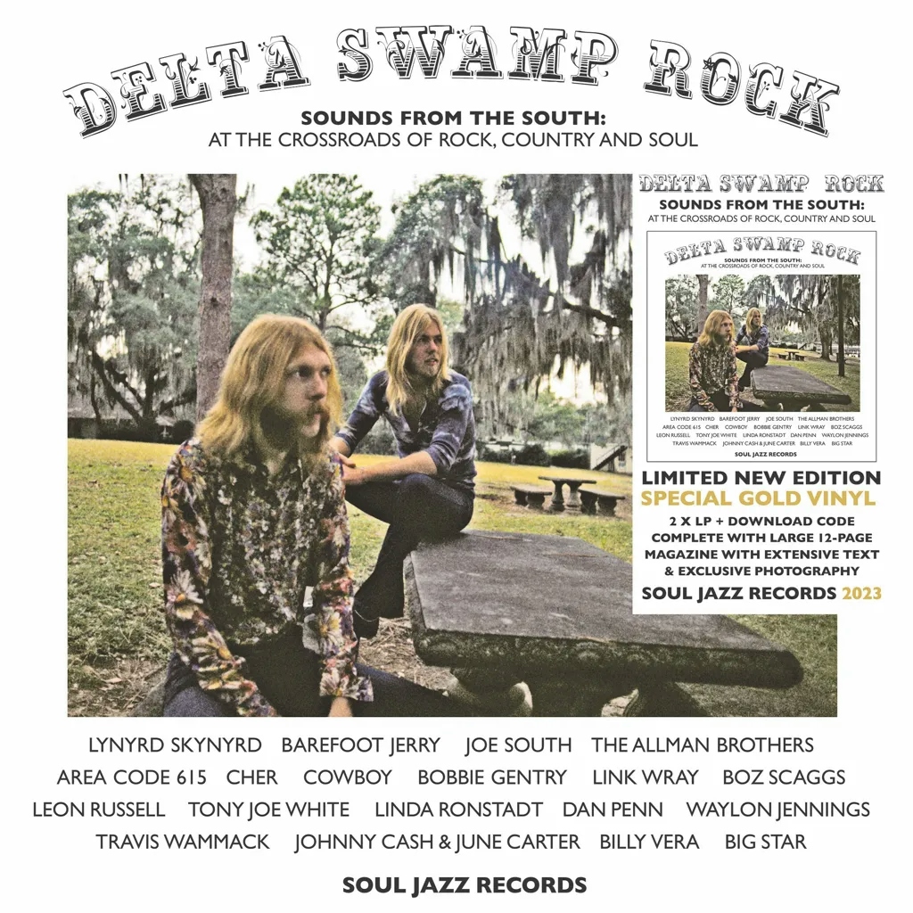 Album artwork for Delta Swamp Rock – Sounds From The South: at The Crossroads of Rock, Country and Soul by Various