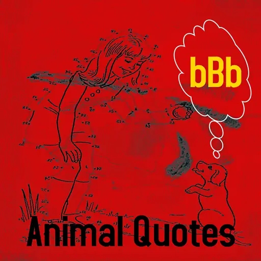 Album artwork for Animal Quotes by Bbb
