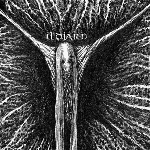 Album artwork for Ildjarn by Ildjarn