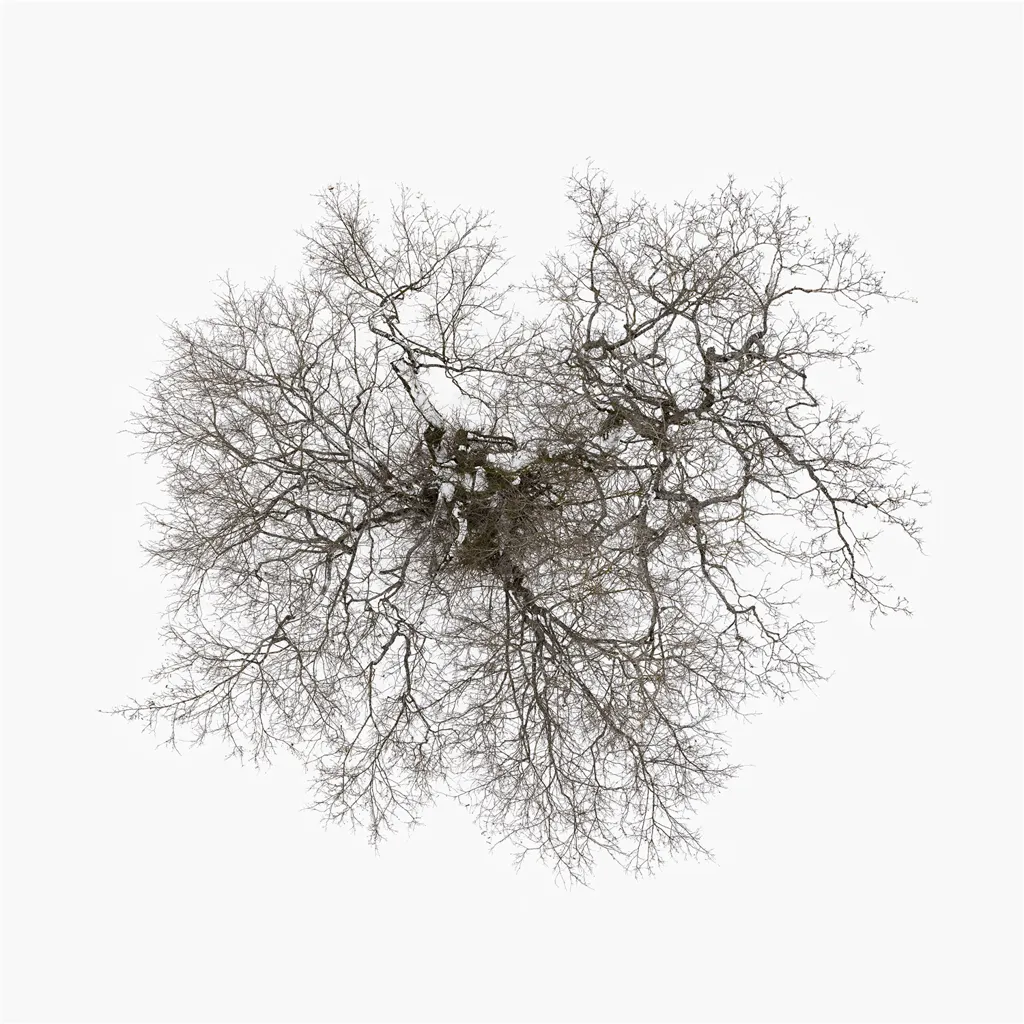 Album artwork for Tree by John Metcalfe