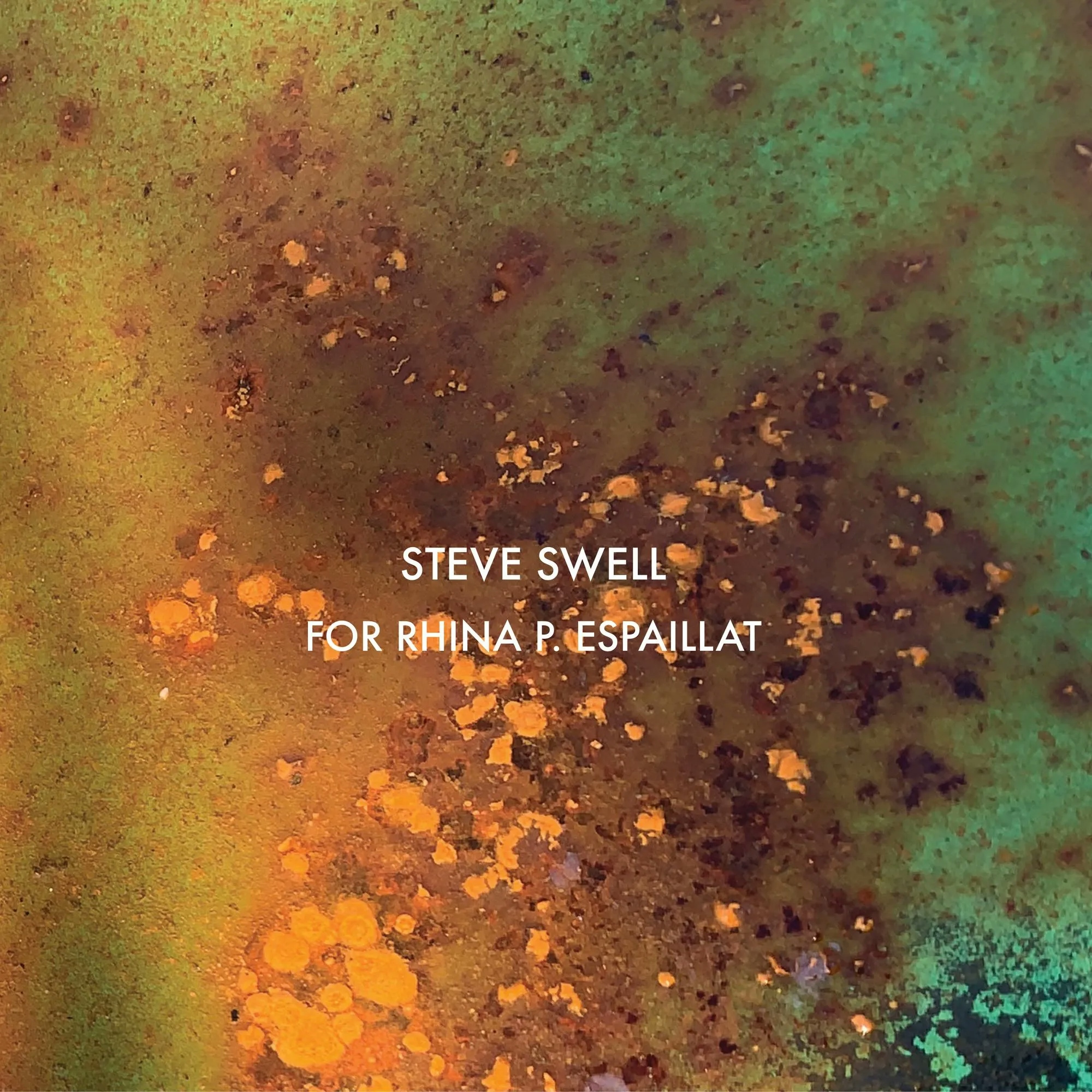 Album artwork for For Rhina P. Espaillat by Steve Swell