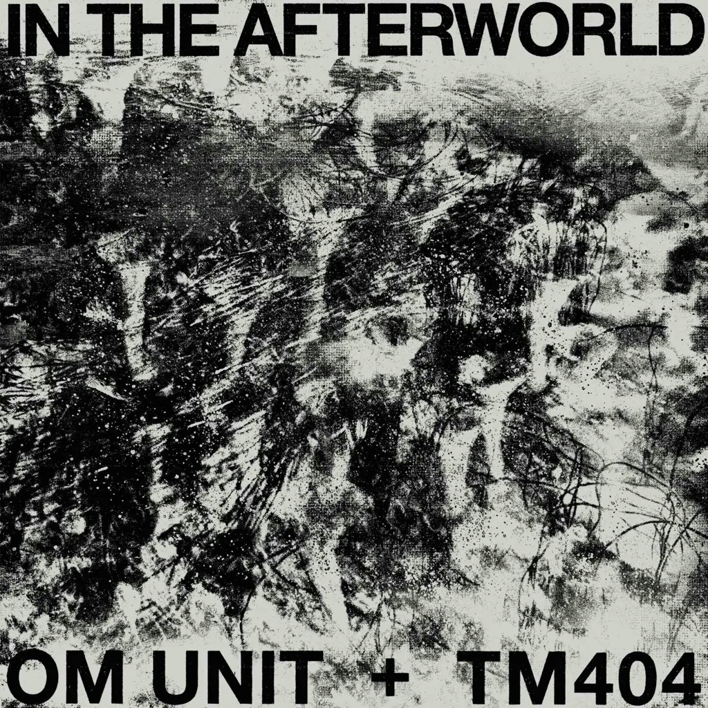 Album artwork for In The Afterworld by Om Unit + TM404