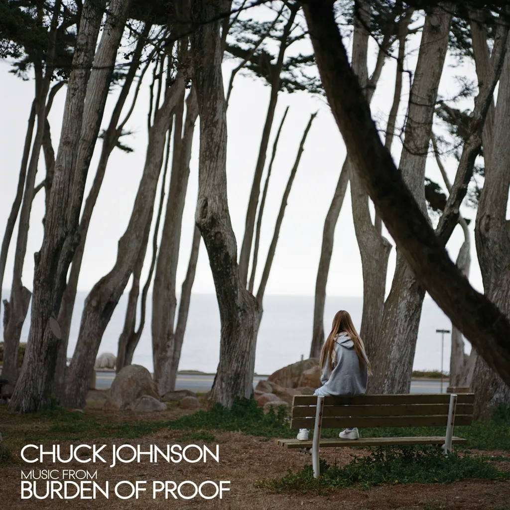 Album artwork for Burden Of Proof by Chuck Johnson