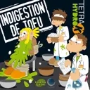 Album artwork for Infusion De Delay – Indigestion De Tofu by Tetra Hydro K