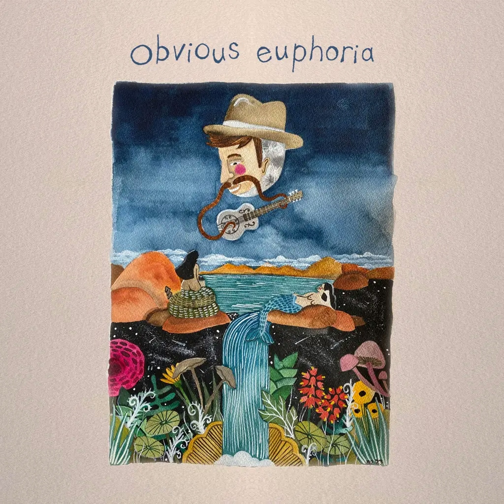 Album artwork for Obvious Euphoria by Matt Mitchell Music Co