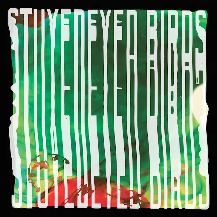 Album artwork for Split 7" by Stuyedeyed / Birds