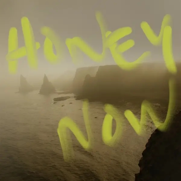 Album artwork for Honey Now by Neon Waltz