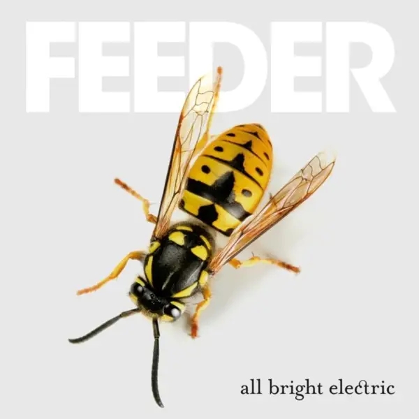 Album artwork for All Bright Electric by Feeder