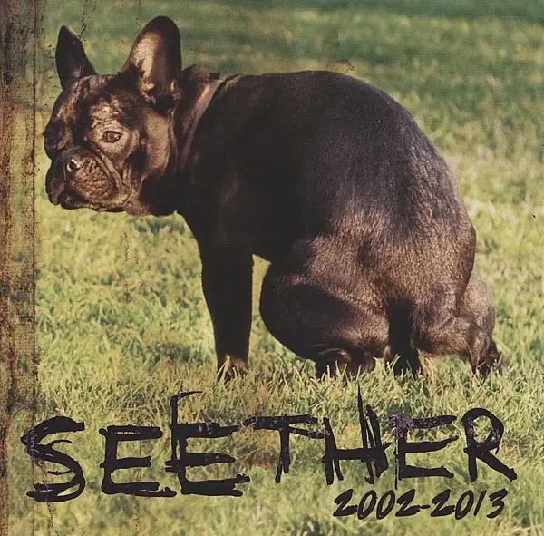 Album artwork for Seether 2002-2013 by Seether