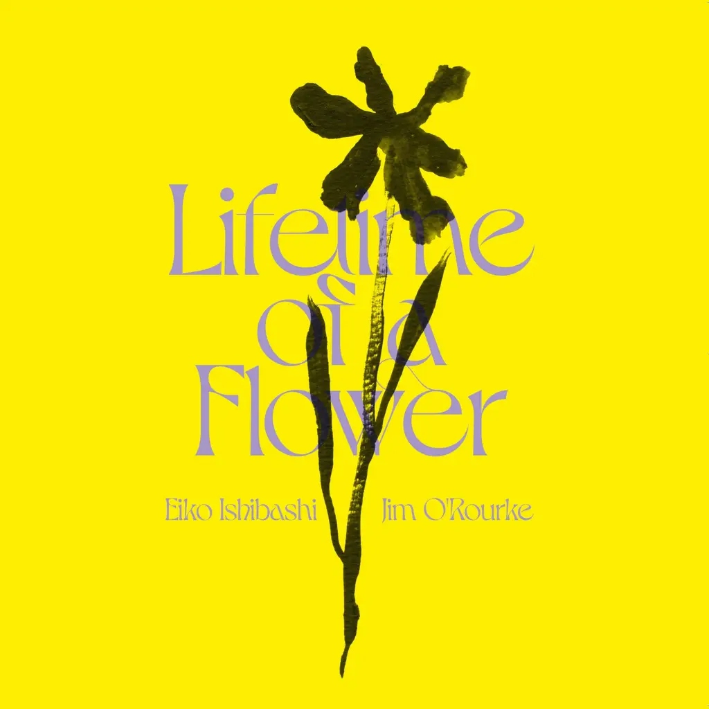 Album artwork for Lifetime of a Flower by Eiko Ishibashi