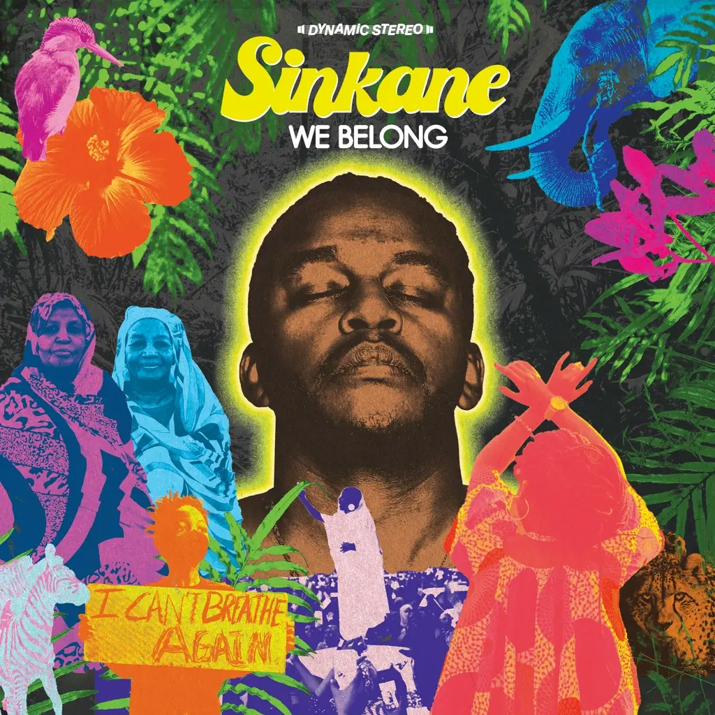Album artwork for We Belong by Sinkane
