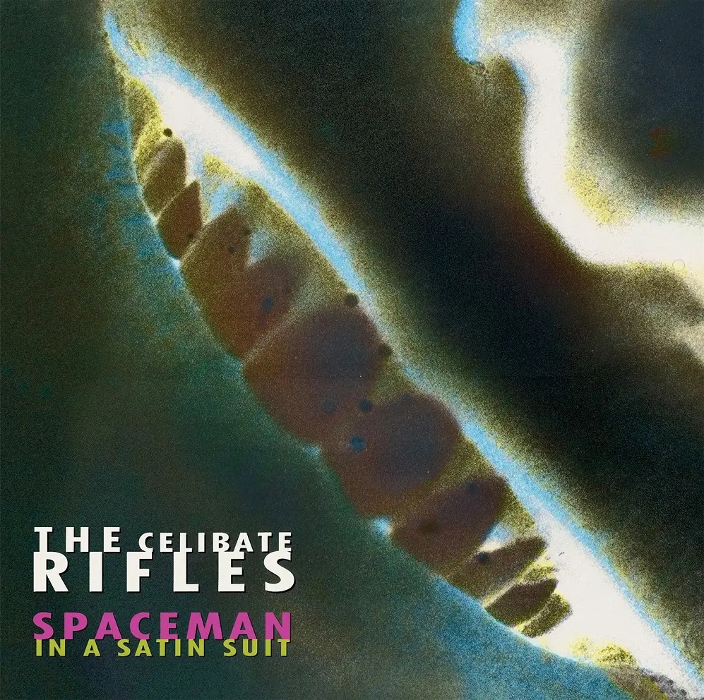 Album artwork for Spaceman In A Satin Suit by The Celibate Rifles