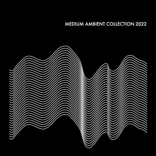 Album artwork for Medium Ambient Collection 2022 Black by Various