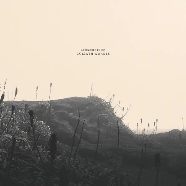 Album artwork for Goliath Awakes by Albinobrothers